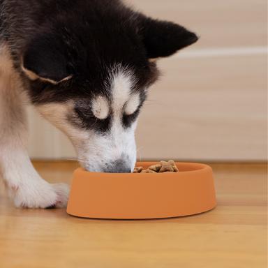 oval shape silicone slow feeder bowl for pet