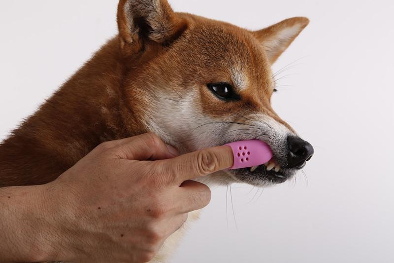 silicone finger toothbrush for dog